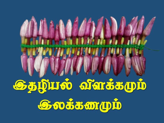 இதழியல் விளக்கமும் இலக்கணமும்