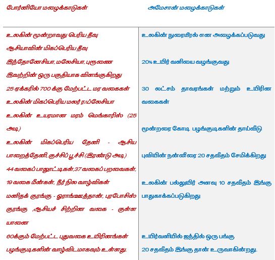 மழைக்காடும் மனிதமும் 