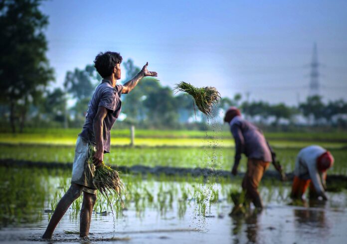 சங்க காலத் தொழிற்பிரிவில் தூதுவர்கள் - முனைவர். த. தினேஷ்