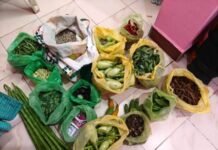 மரபுச் சங்கிலி|சிறுகதை|முனைவர் சுகந்தி அன்னத்தாய் மரபுச் சங்கிலி-சிறுகதை-முனைவர் சுகந்தி அன்னத்தாய்