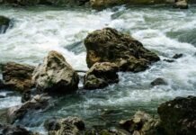 The Poverty of the Ever-Flowing Vaigai|Dr.D.Sangeetha வற்றாத வைகையின் வறுமை - முனைவர் த சங்கீதா