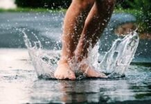 Ettuthogaiyil Neer Maelaanmai|Dr.T.Sangeetha எட்டுத்தொகையில் நீர் மேலாண்மை- முனைவர் தி. சங்கீதா