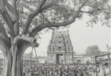 வி.ஏ.ஓ வீட்டுவிஷேசம்|ச. செல்வம் வி. ஏ..ஓ வீட்டு விஷேசம் -ச. செல்வம்