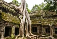 Family In The Works Of V.Iraiyanbu|Dr P.Vignesh kumar Family In The Works Of V.Iraiyanbu - Dr P. Vignesh kumar