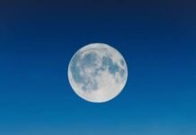 அறமா,அறிவியலா|ரா.ஷர்மிளா அறமா,அறிவியலா -ரா.ஷர்மிளா