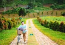 Thoughts on the Upliftment of Humankind in Kalithogai|Dr S. Dhandapani