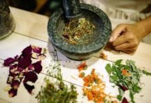 Medical Perspectives in Sangam Literature|Dr.Nalini.V