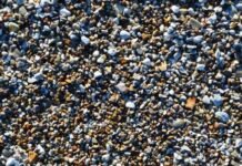 Grammar Texts in Tamil|Dr.G.Vijayakumari