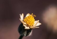 மௌனம் சில இடங்களிலாவது!|முனைவர் சாரதா சுப்பிரமணி மௌனம் சில இடங்களிலாவது! முனைவர் சாரதா சுப்பிரமணி