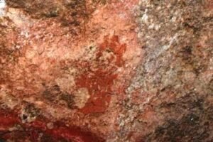 நாகப் புடவு