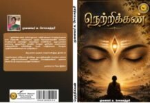சுந்தரிமணியனின் ‘நெற்றிக்கண்’ சிறுகதைத் தொகுப்பு ஒரு பருந்துப்பார்வை நெற்றிக்கண்- விமர்சனக் கட்டுரை